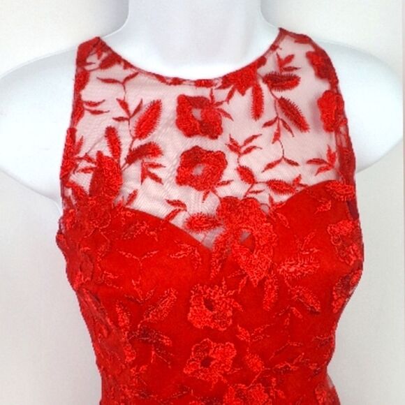 DB Studio Red Floral Lace Dress - Picture 1 of 8